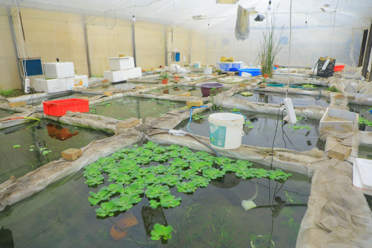 25 миллион сўм қандай қилиб 1000 долларлик ойлик даромадга айланди?