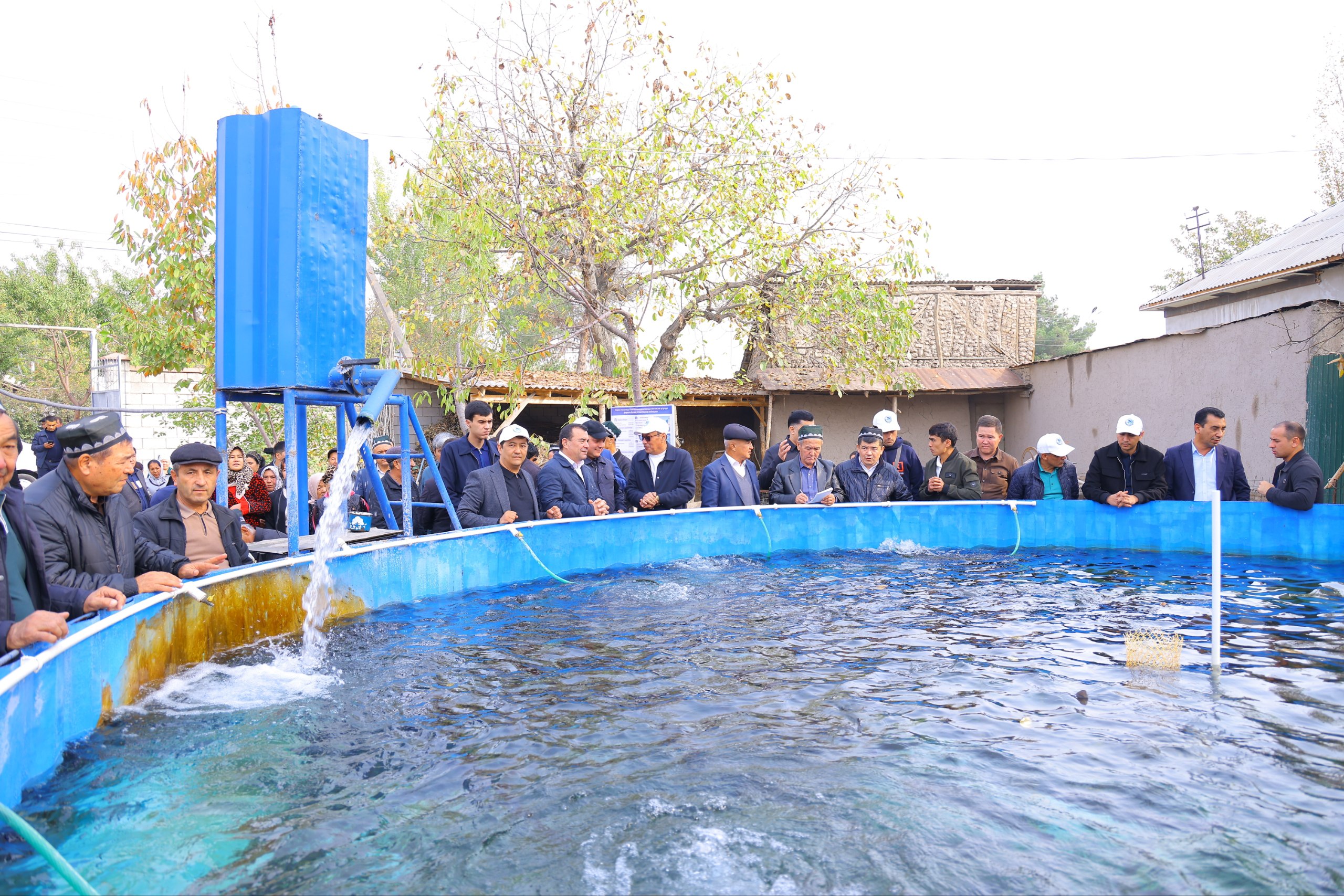 Балиқчилик -  Наманган иқтисодиётининг янги драйвери
