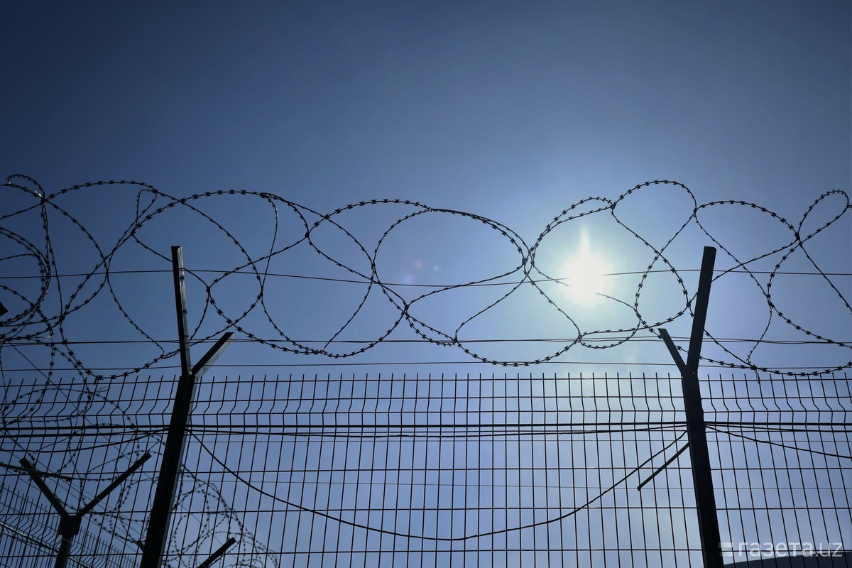 Жазо муддатини ўтаётган 615 нафар шахс афв этилди