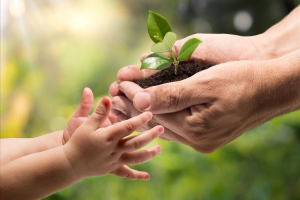 Тарбияни навоийдан ўргансак арзир!