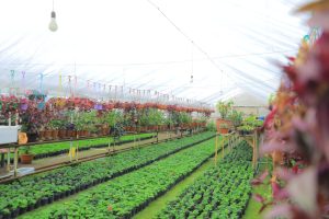 25 миллион сўм қандай қилиб 1000 долларлик ойлик даромадга айланди?